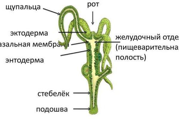 Ссылка на кракен официальный сайт