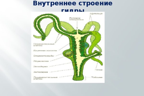 Ссылка на кракен на сегодня